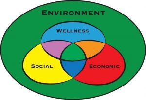 Wellness Model for Sustainability: Environmental systems act as nest, holding economic, social, and individual wellness systems. If in balance, that's sustainability.